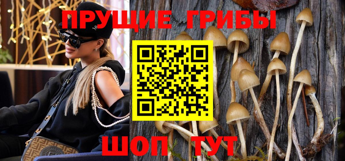 Галлюциногенные грибы Cubensis  Вход с VPN  Донской 