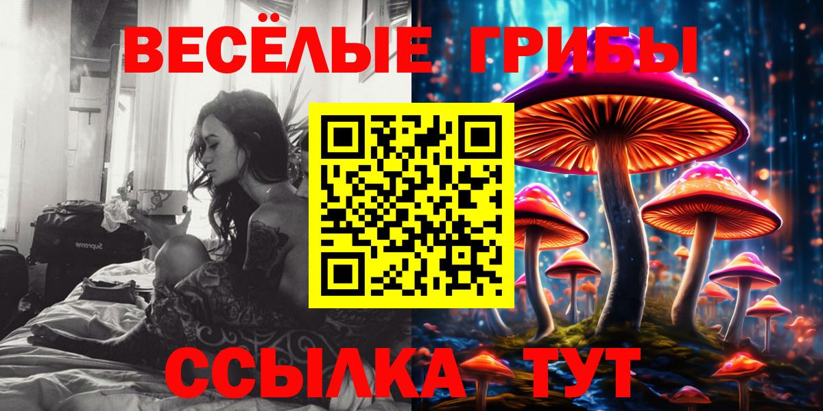 Псилоцибиновые грибы мицелий Донской