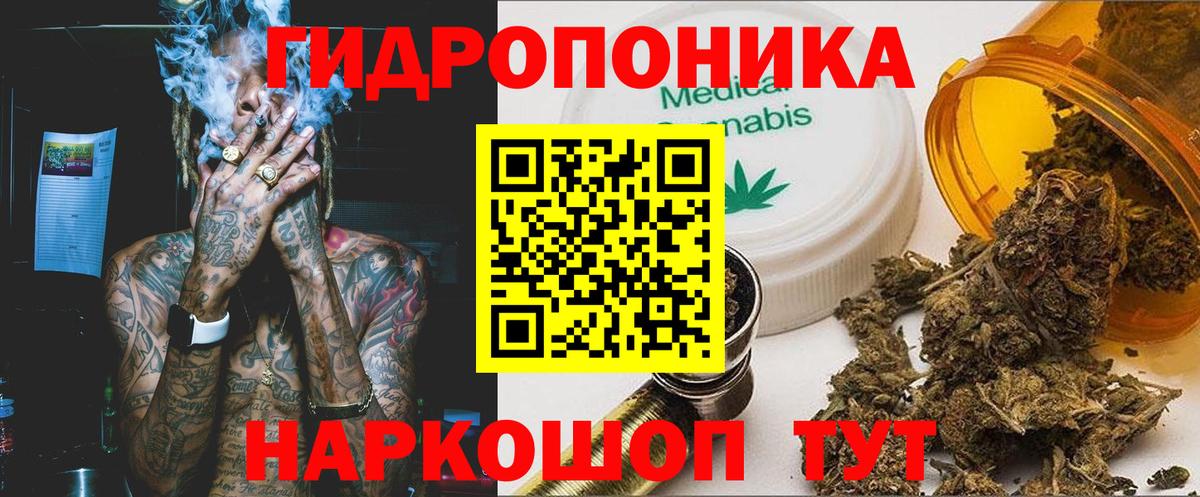 Шишки марихуана гибрид Донской